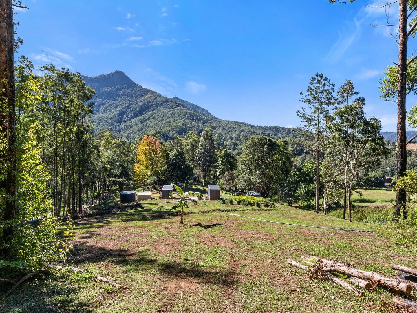 1897 KYOGLE ROAD, Terragon NSW 2484, Image 0