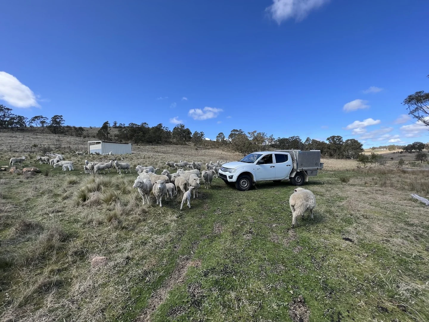 Additional image 9 of lot 188/940 Hanworth Road, Bannaby NSW 2580