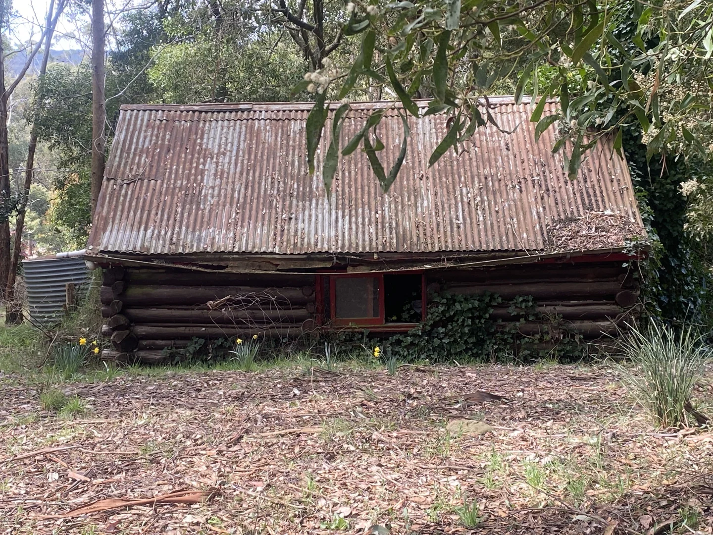 Image 4