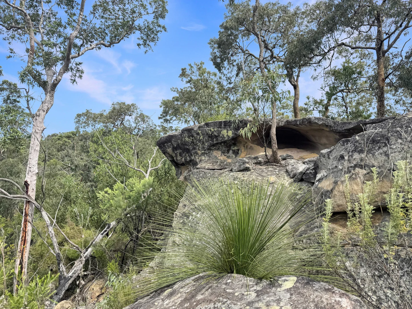Additional image 2 of 112 Finchley Track, Laguna NSW 2325