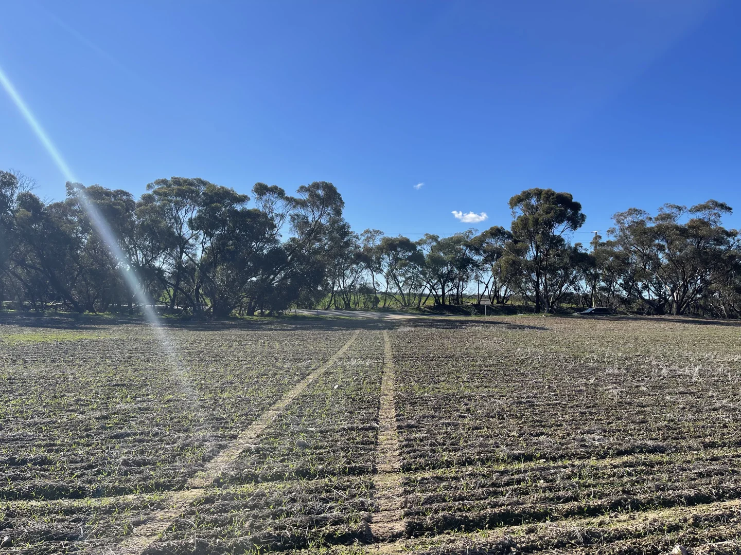 Image 11