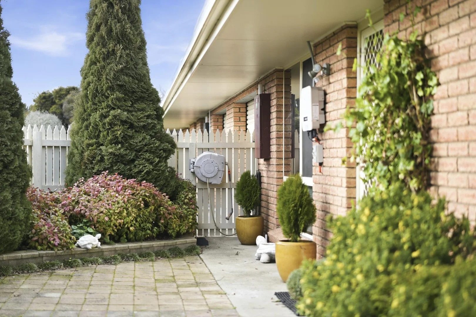 Image 19