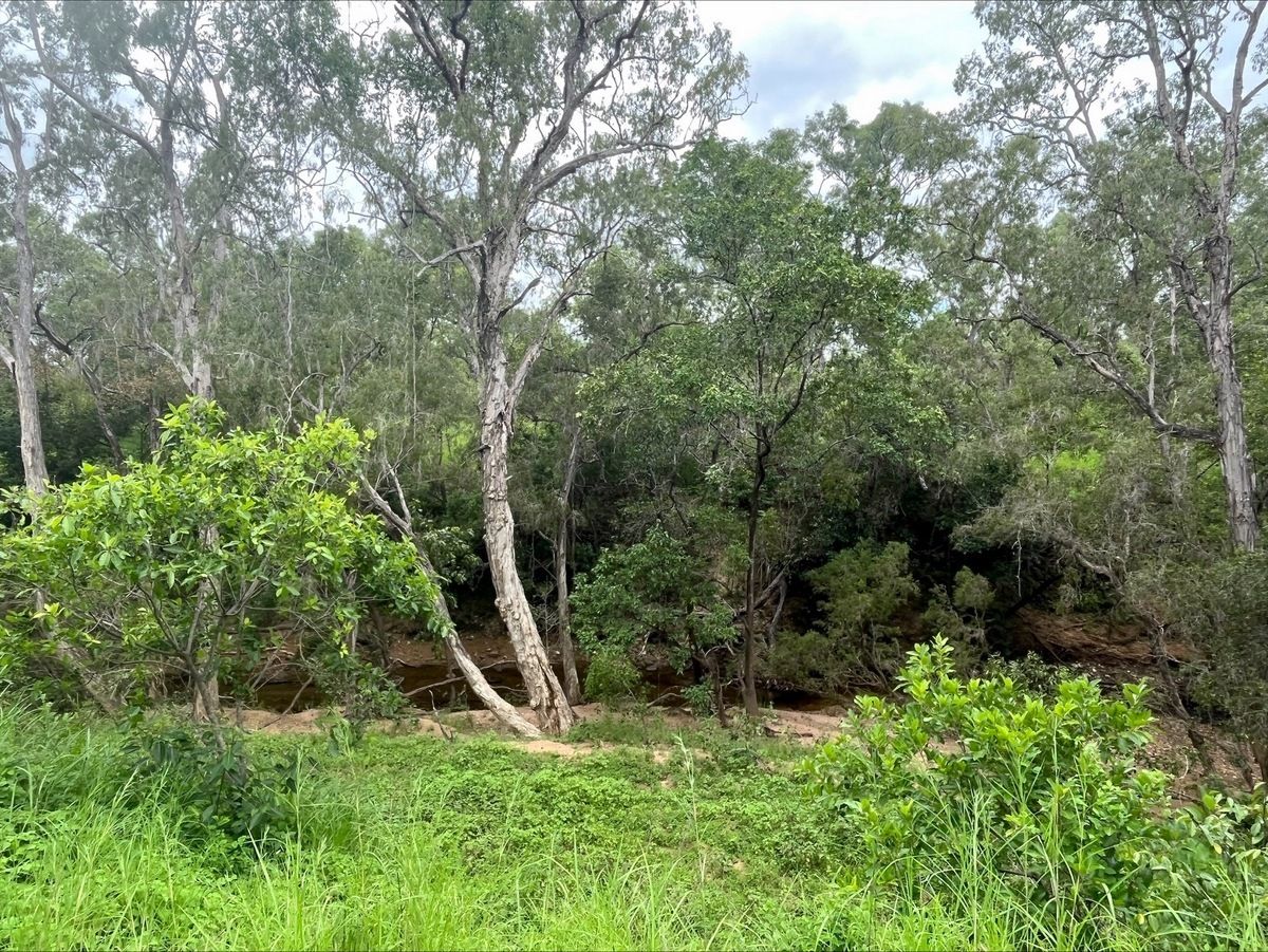 Lot 22 Peninsula Developmental Rd., Lakeland QLD 4871, Image 0