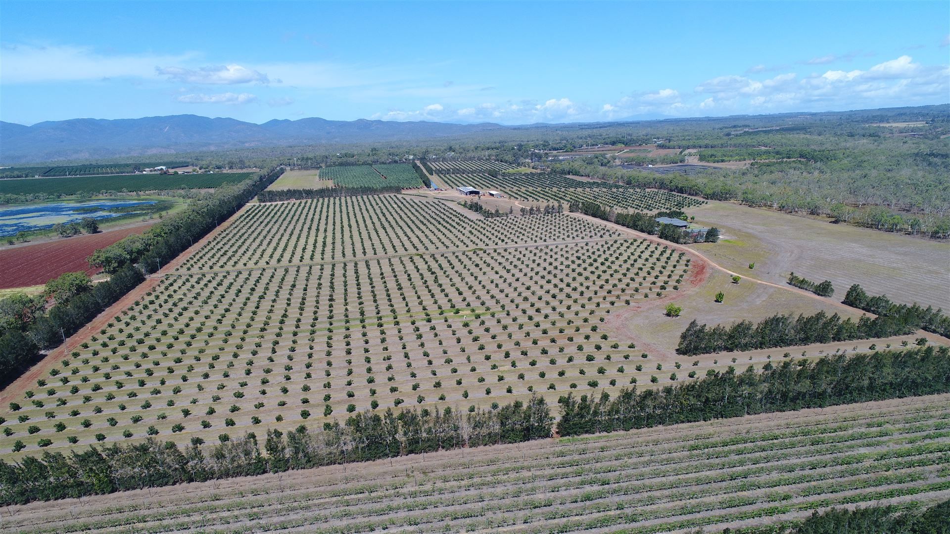 3 Hansen Road, Walkamin Property History & Address Research Domain