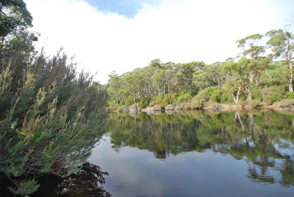 Lot 2 Lyell Highway, Derwent Bridge TAS 7140, Image 0