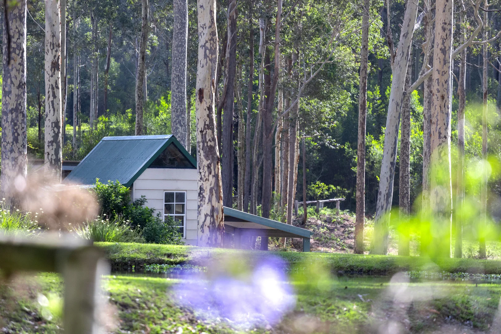 Additional image 51 of 82 Jack Reid Road, Termeil NSW 2539