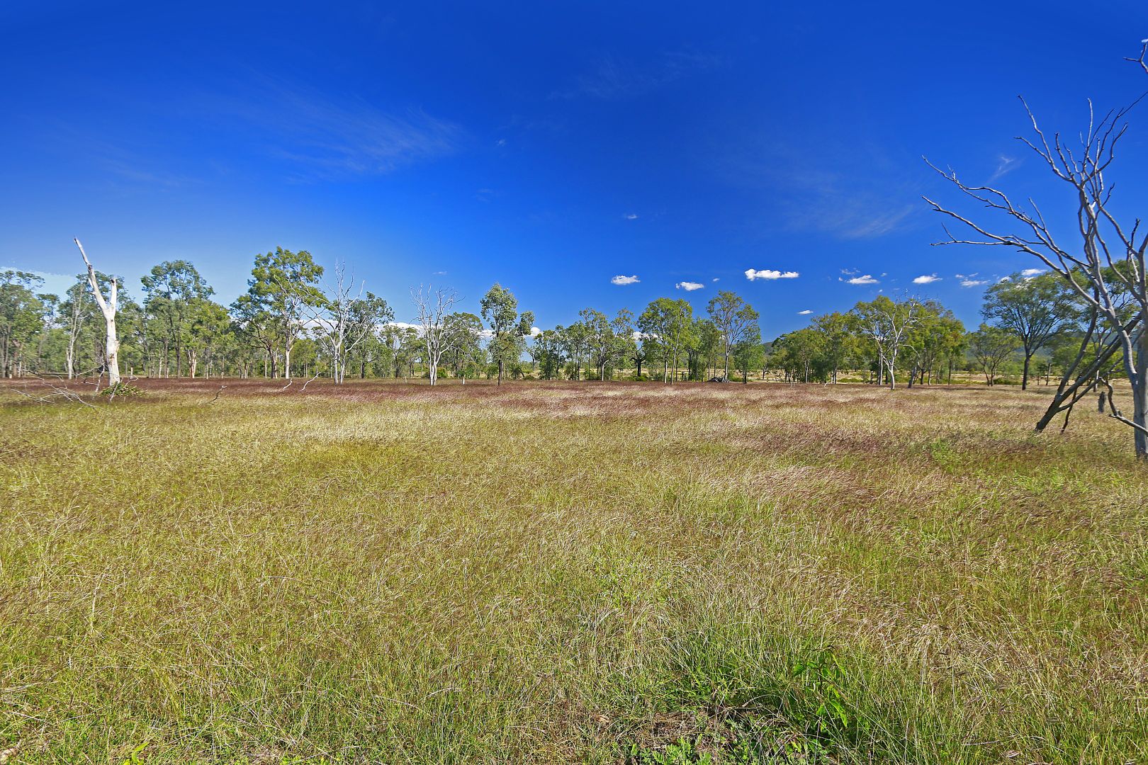 "MOUNTAIN HUT" COMANCHE ROAD, Glenroy QLD 4702, Image 2