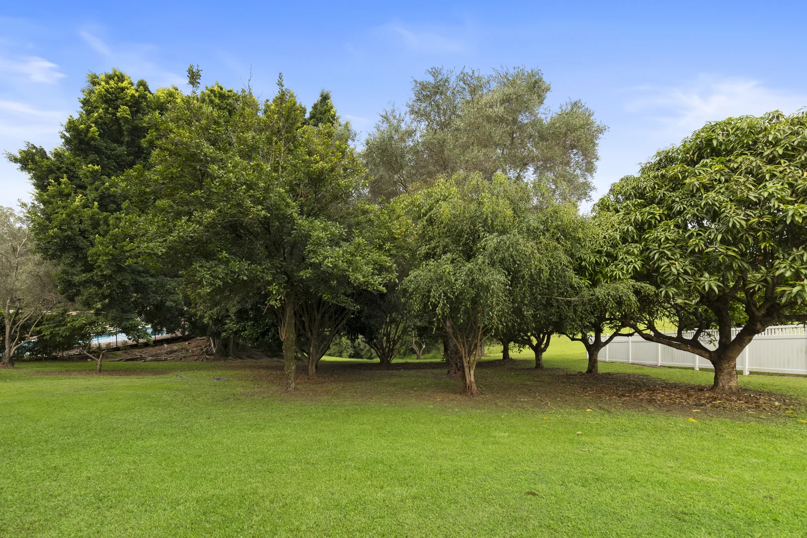 Image 35