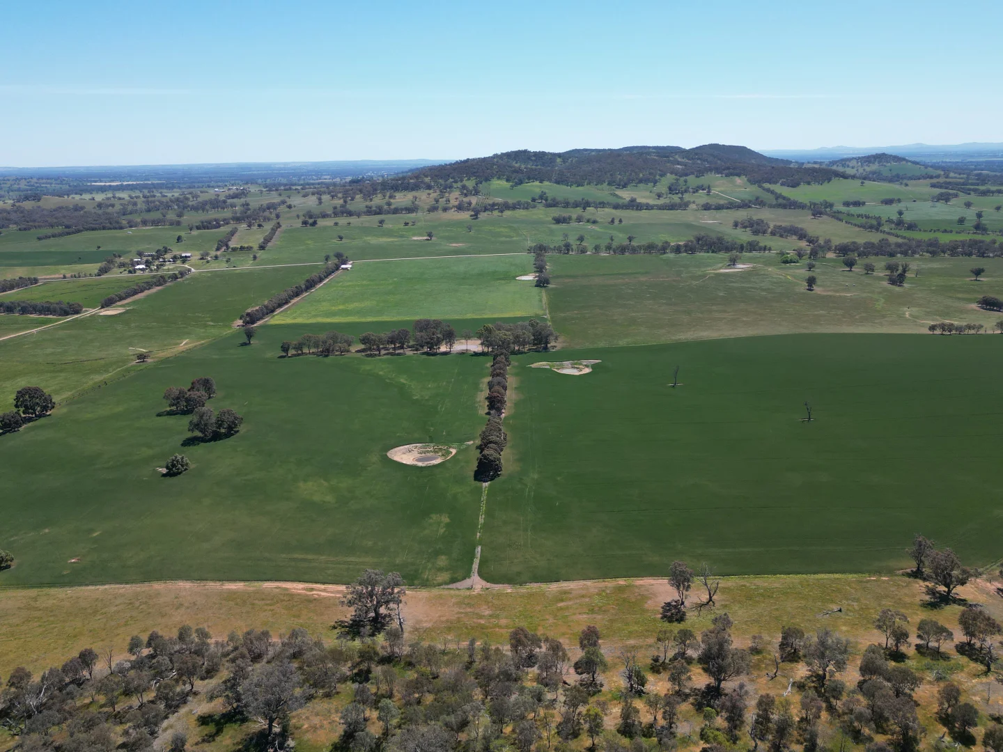 Additional image 10 of 798 Bethel Road, Glenellen NSW 2642