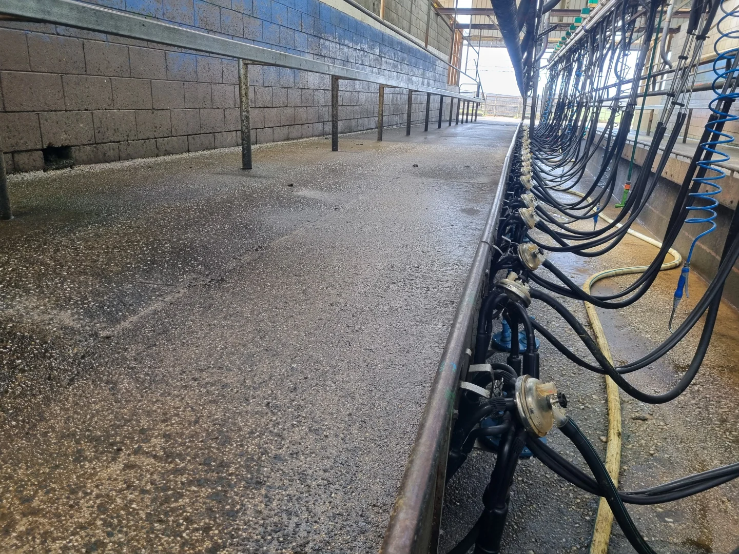 Additional image 9 of 2319 Murchison Highway, Henrietta TAS 7325