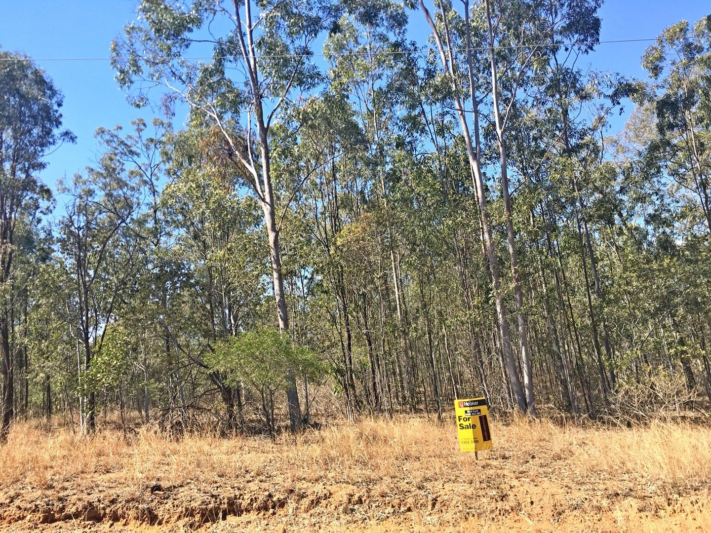 Lot 39 Tillack Road, Gatton QLD 4343, Image 0