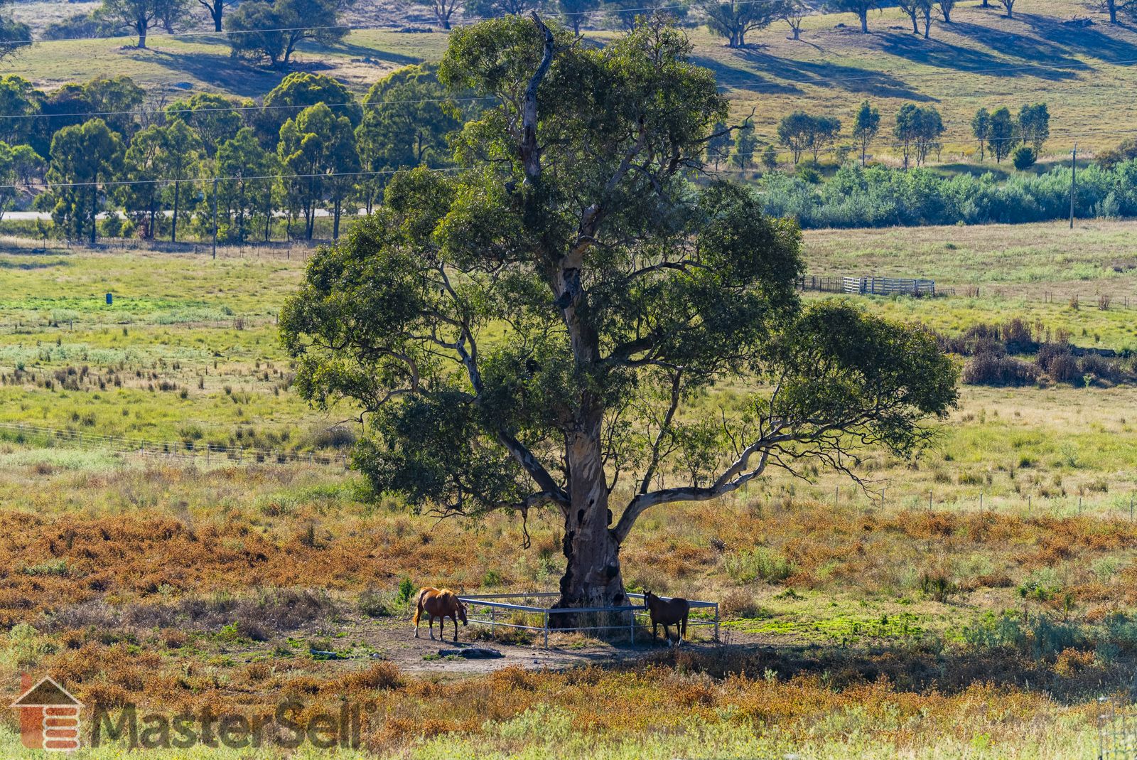 Lot 7 Five Mile Creek Road, Gundagai NSW 2722, Image 0