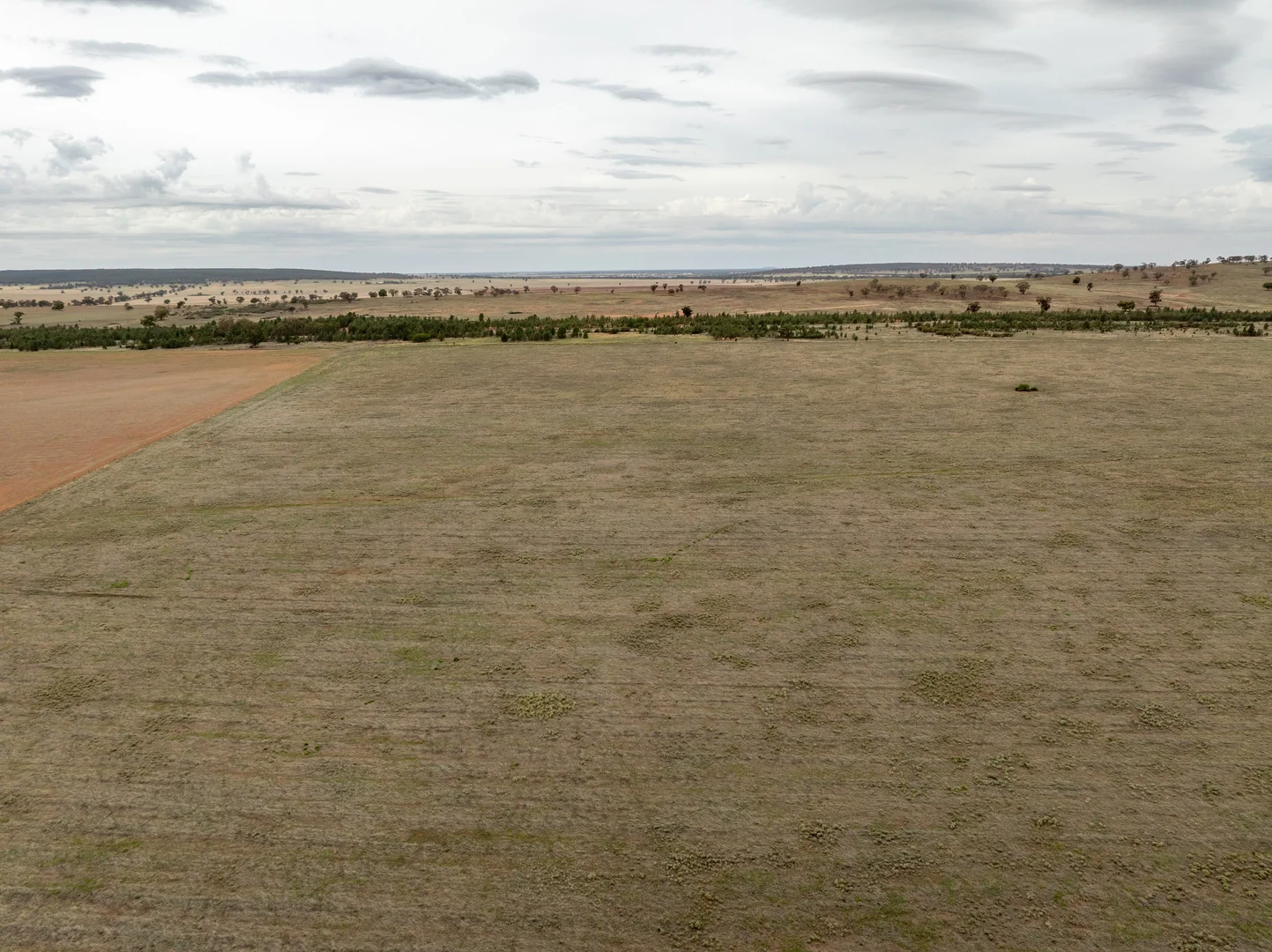 Additional image 10 of Barellan Road, Narrandera NSW 2700