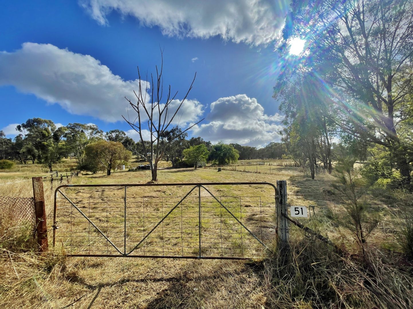 51 McGlynns Lane, Young NSW 2594, Image 2