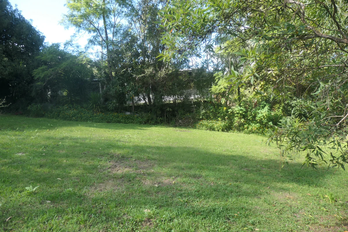 Image 25