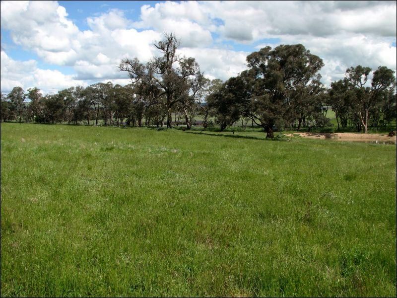 MURRINGO NSW 2586, Image 1