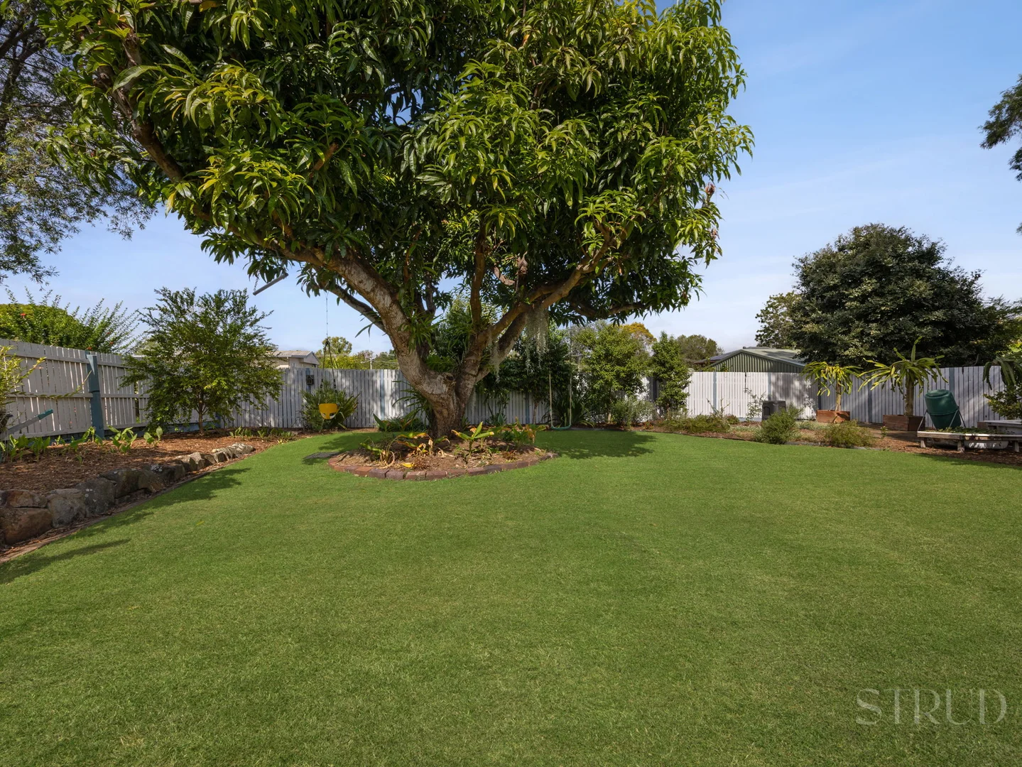 Image 15