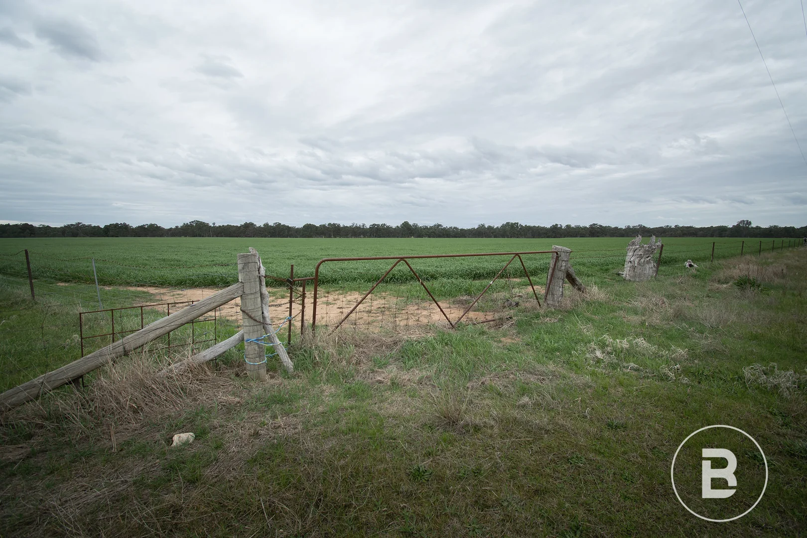 Image 16