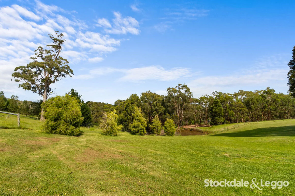 Additional image 29 of 202 Jeeralang West Road, Jeeralang Junction VIC 3840