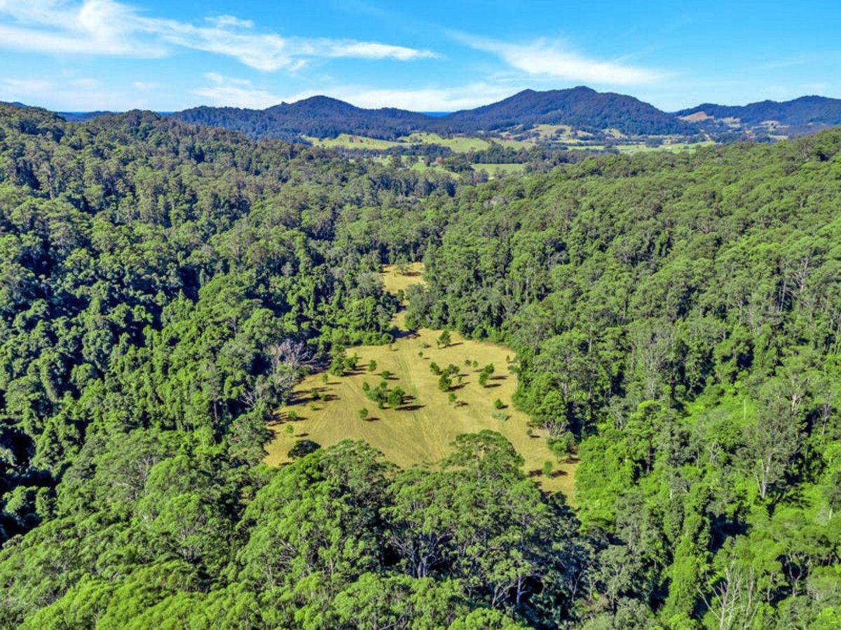 118 North Island Loop Road, Upper Orara NSW 2450, Image 1