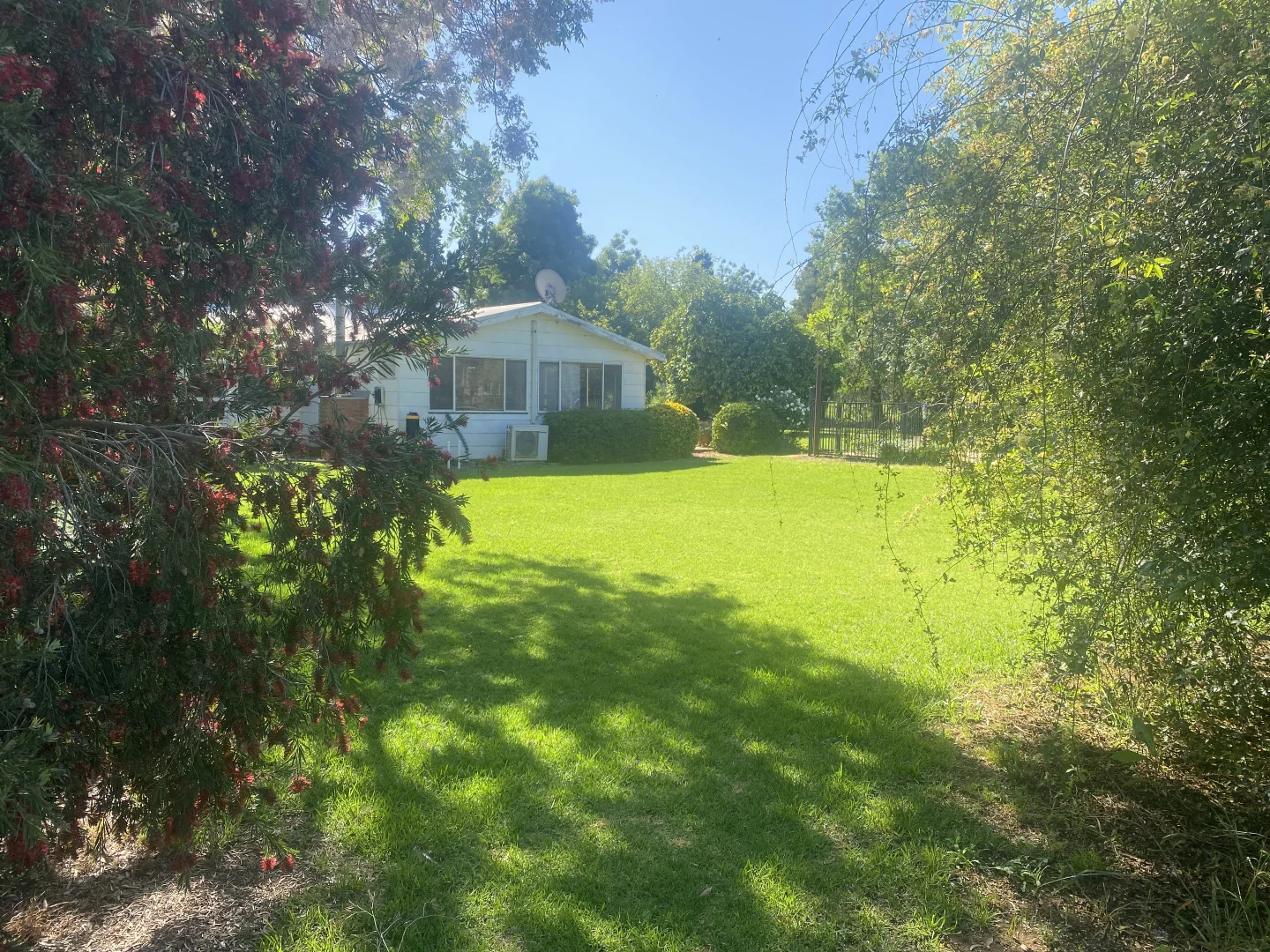Image 20