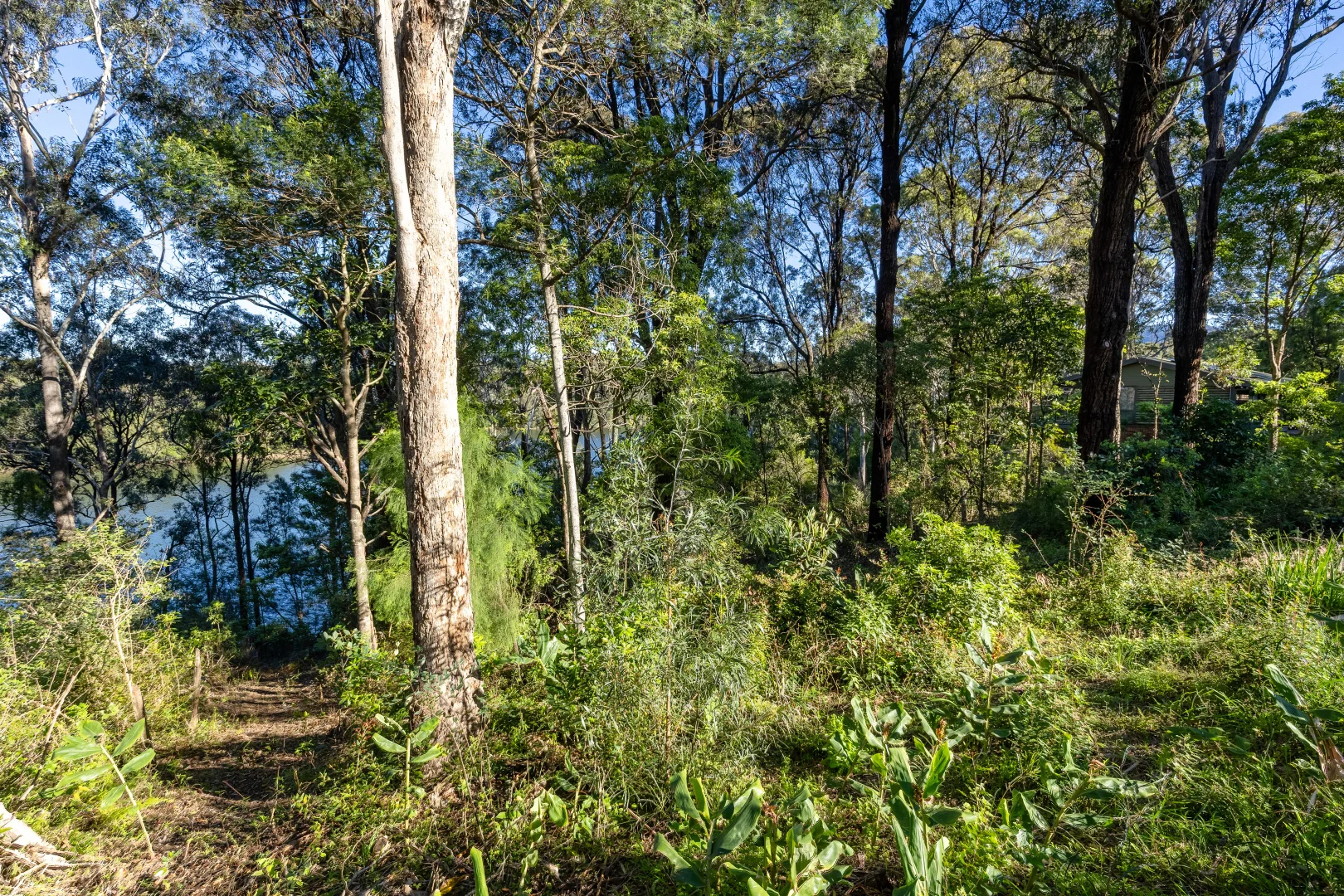 Image 7