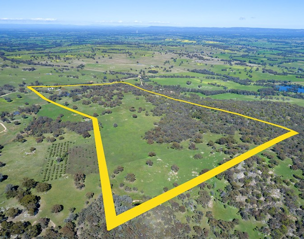 61 Moores Road, Springhurst VIC 3682