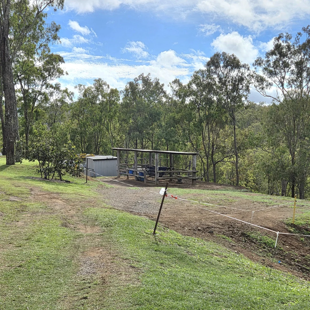 Image 19