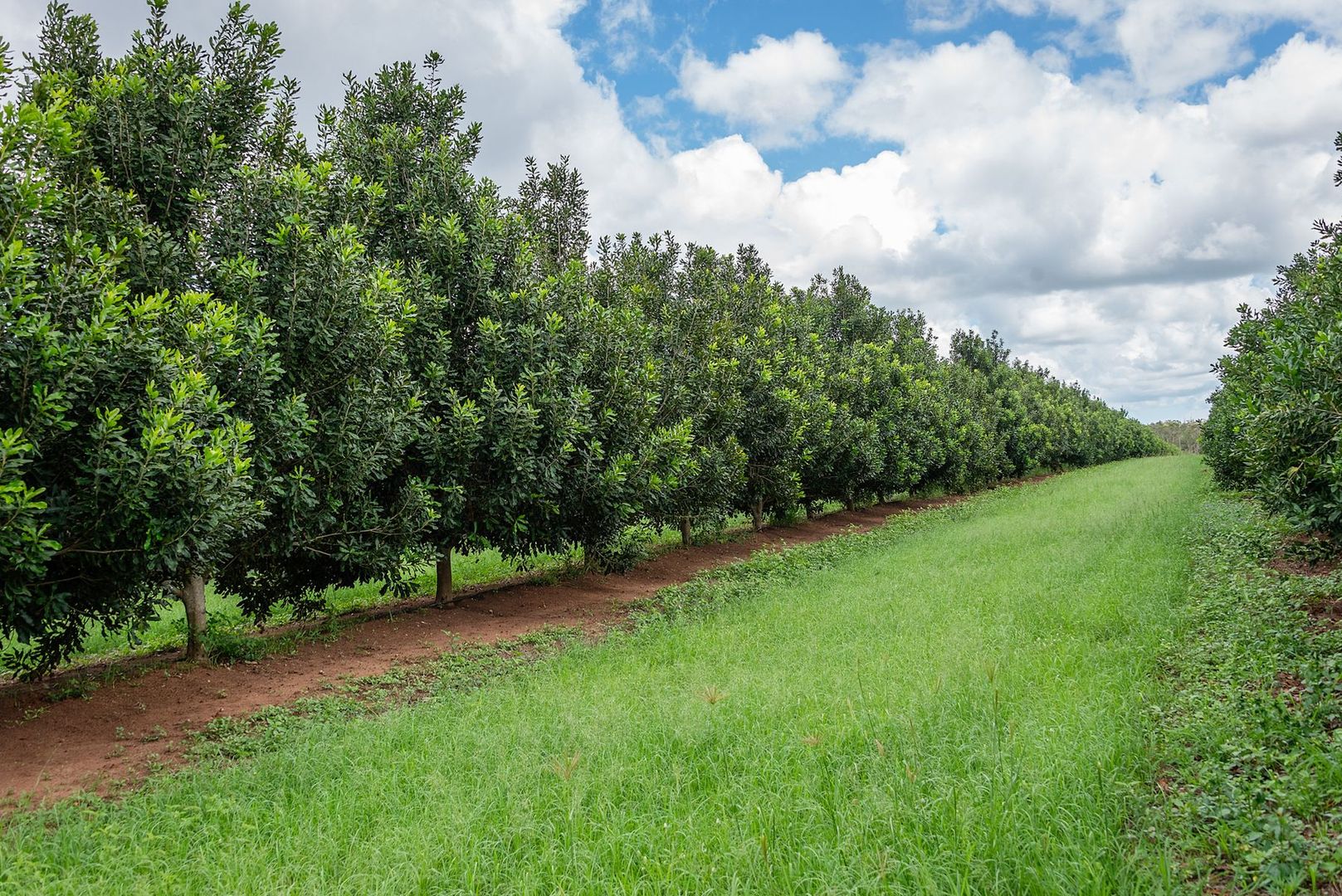 North Gregory QLD 4660, Image 1