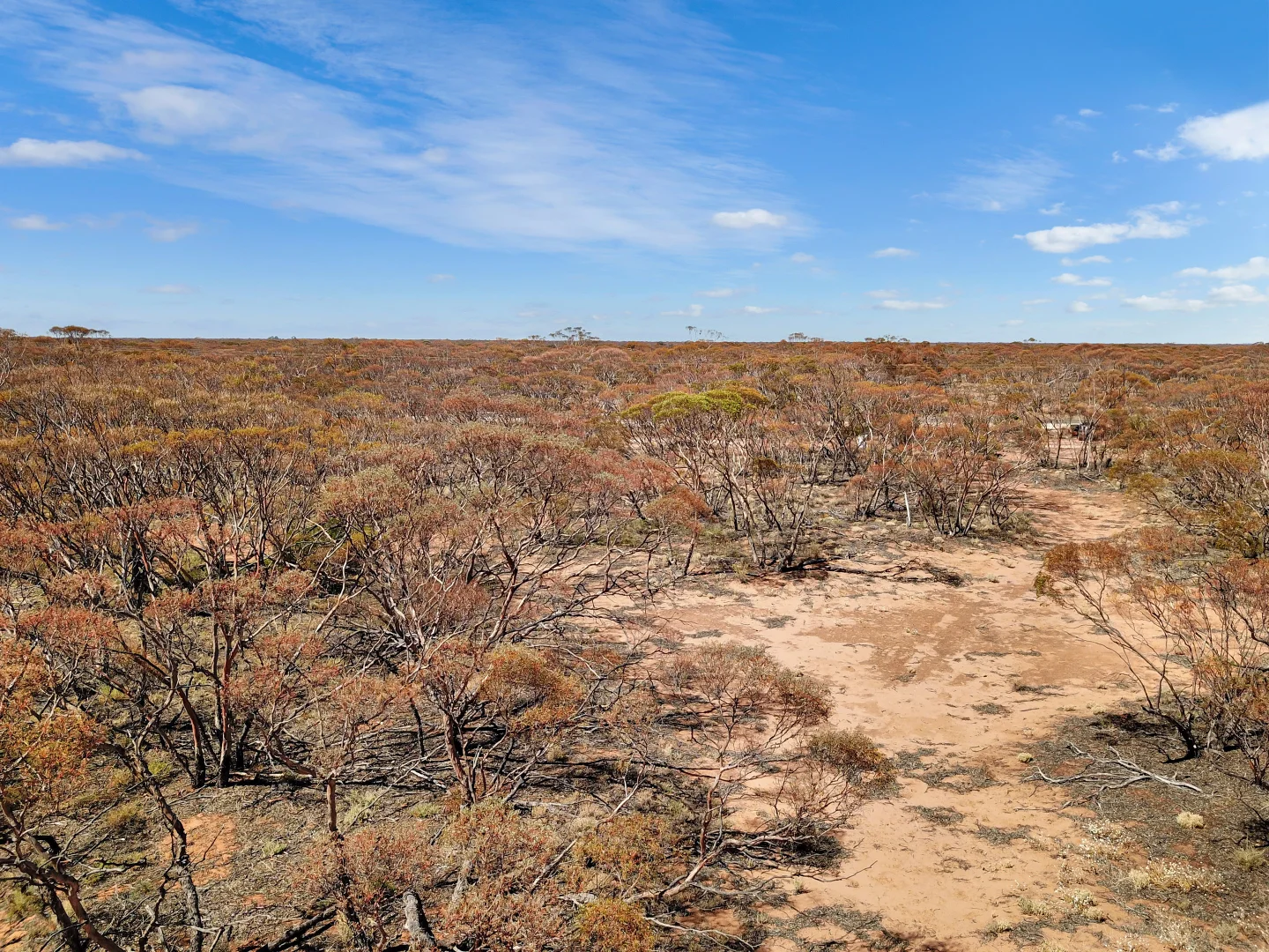 Additional image 12 of Lot 15 Murbko Road, Cadell SA 5321