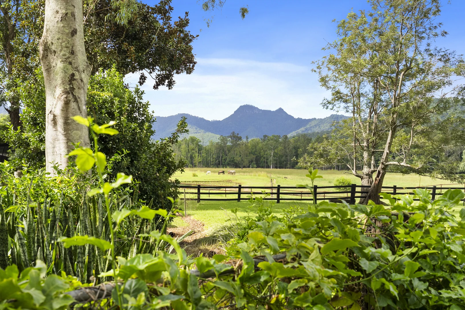 Additional image 28 of 160 Upper Crystal Creek Road, Upper Crystal Creek NSW 2484