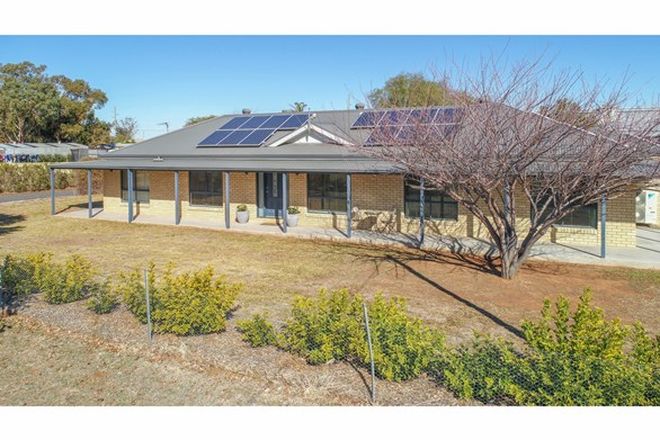 Picture of 59 Boberah Street, WONGARBON NSW 2831