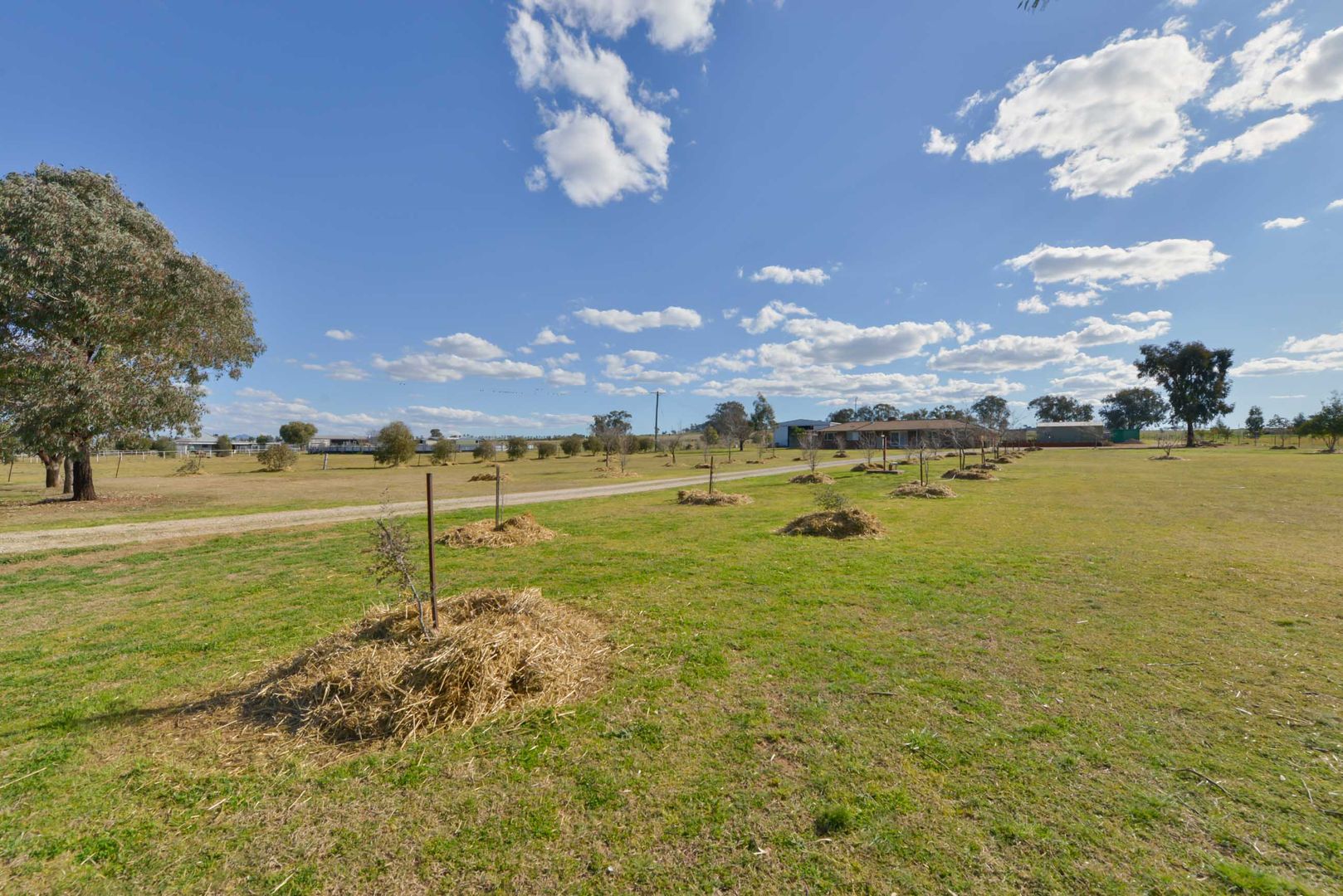 1009 Wallamore Road, Tamworth NSW 2340, Image 2