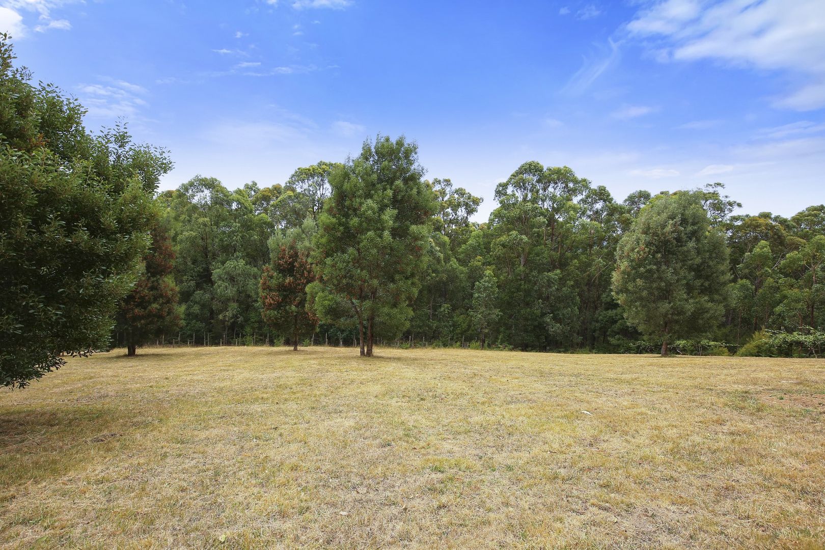 1 St Benedicts Drive, Gladysdale VIC 3797, Image 1