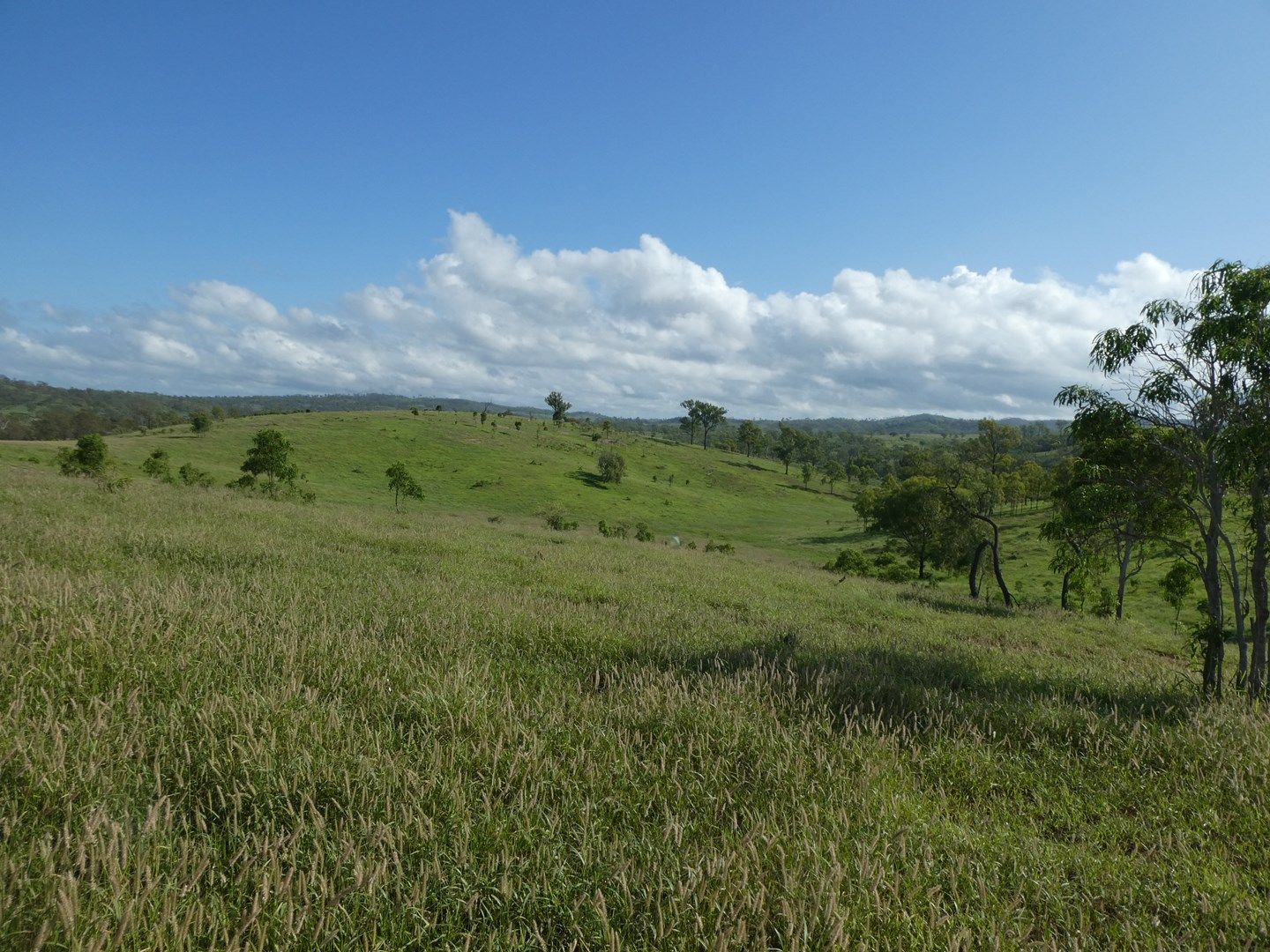 758 FOWLERS ROAD, Wilson Valley QLD 4625, Image 0