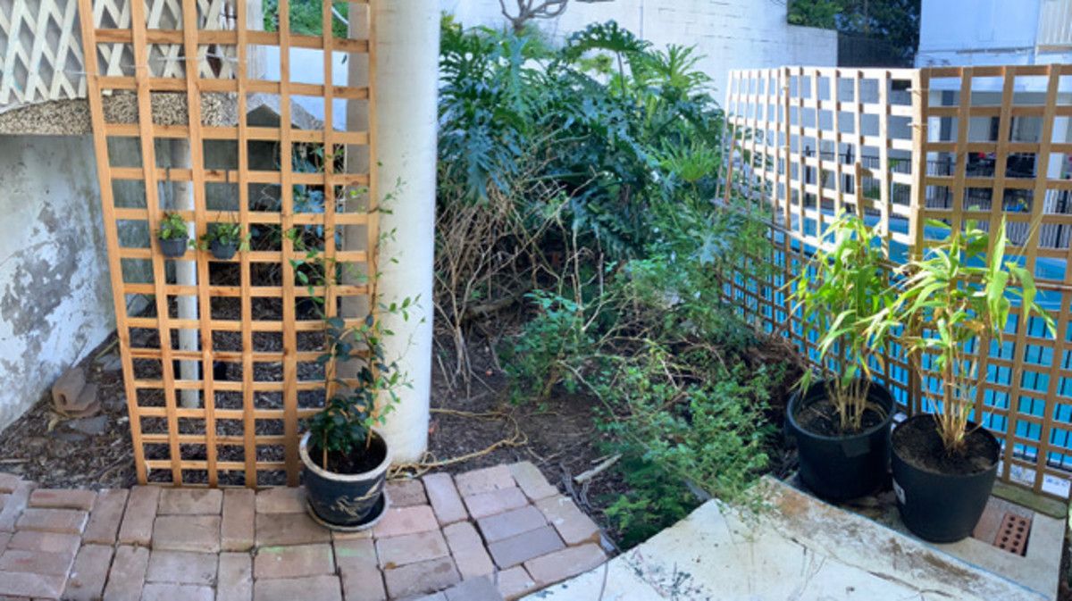 Studio in 3/11 Conway Avenue, ROSE BAY NSW, 2029
