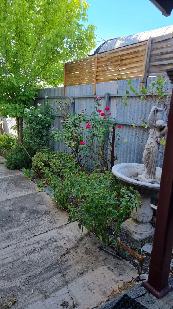 Image 22
