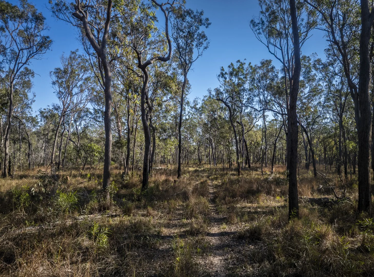 Image 29