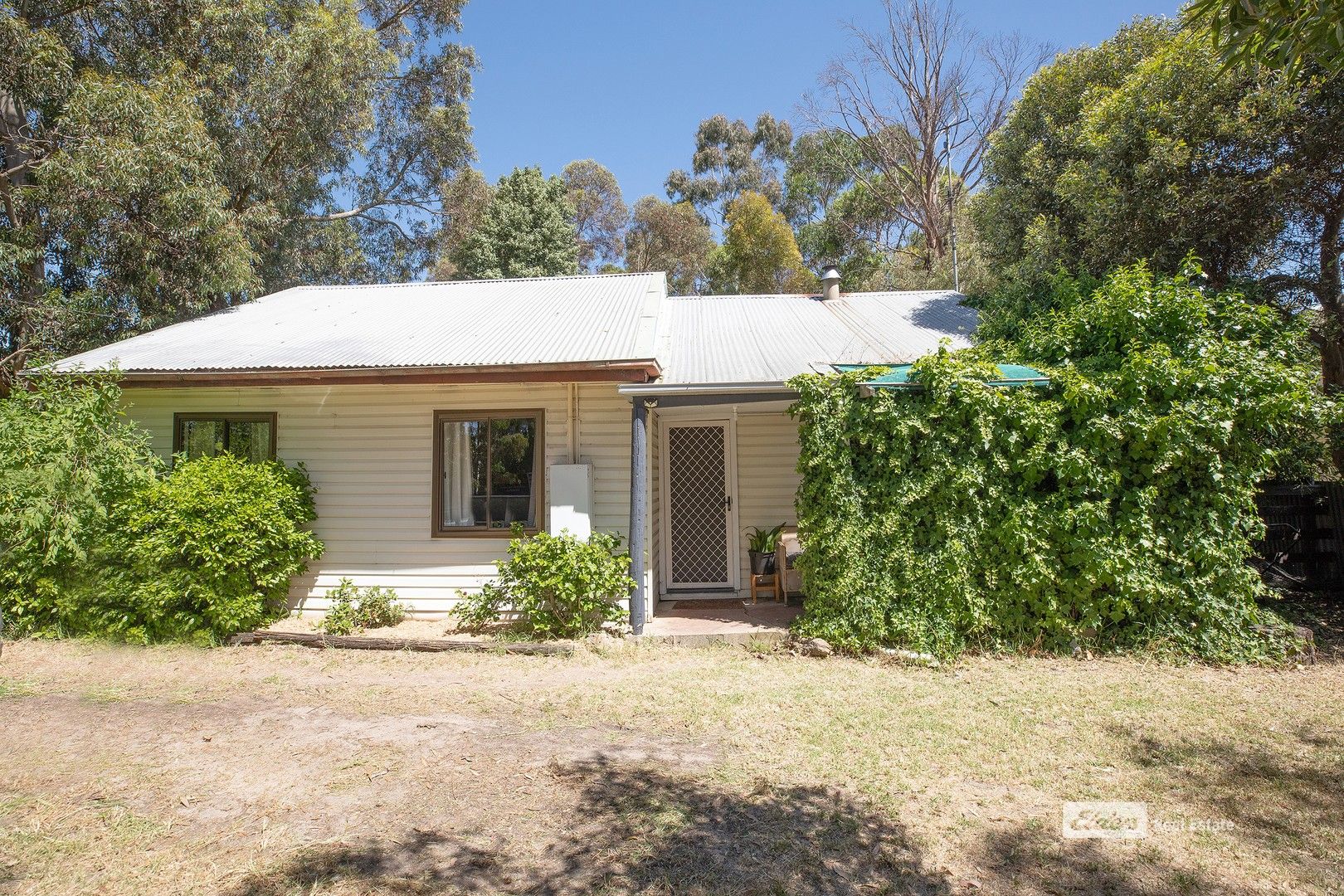 12 Livingston Street, Naracoorte SA 5271, Image 0