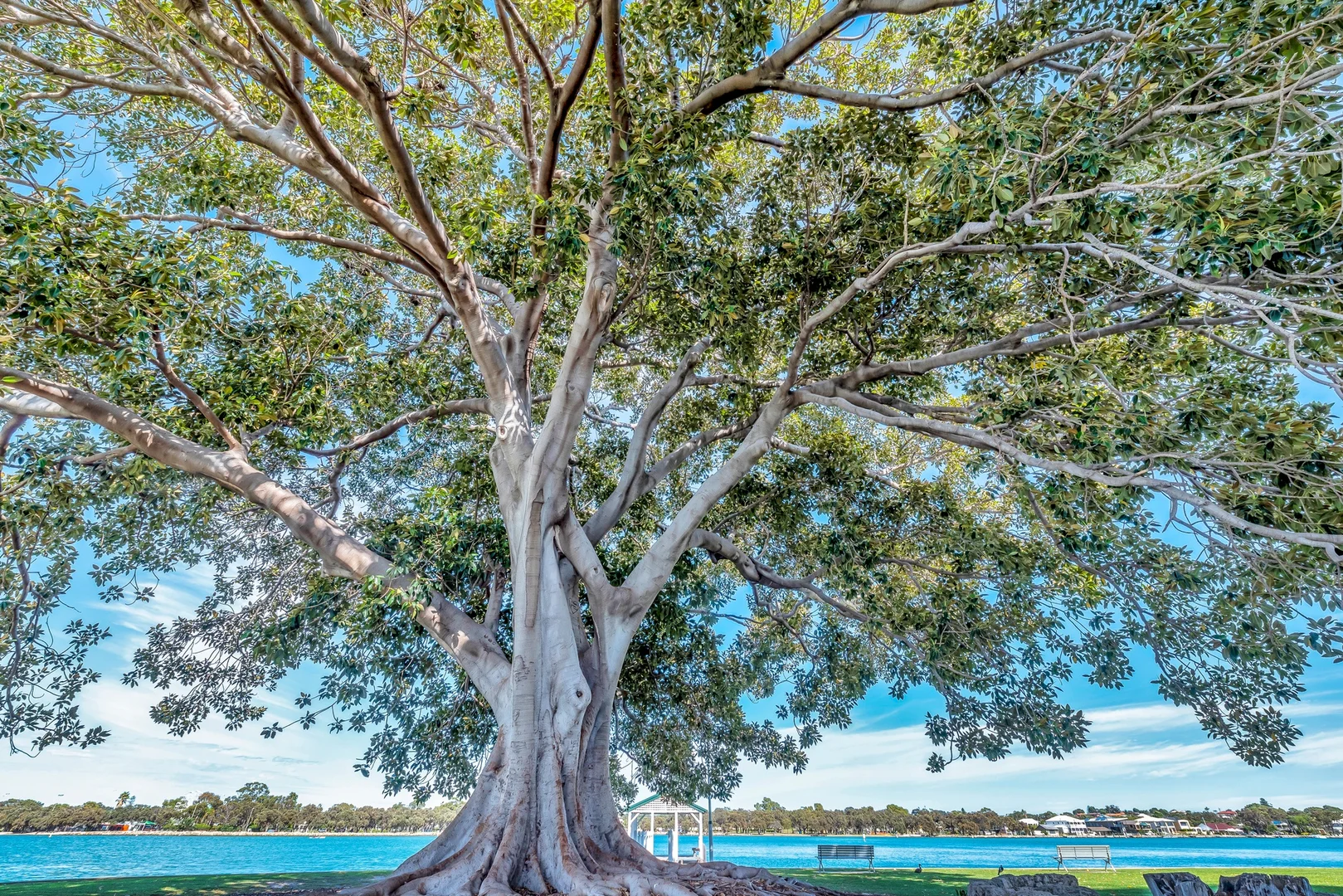 Additional image 31 of 105/3 Marco Polo Drive, Mandurah WA 6210