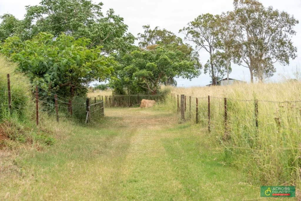 Image 36