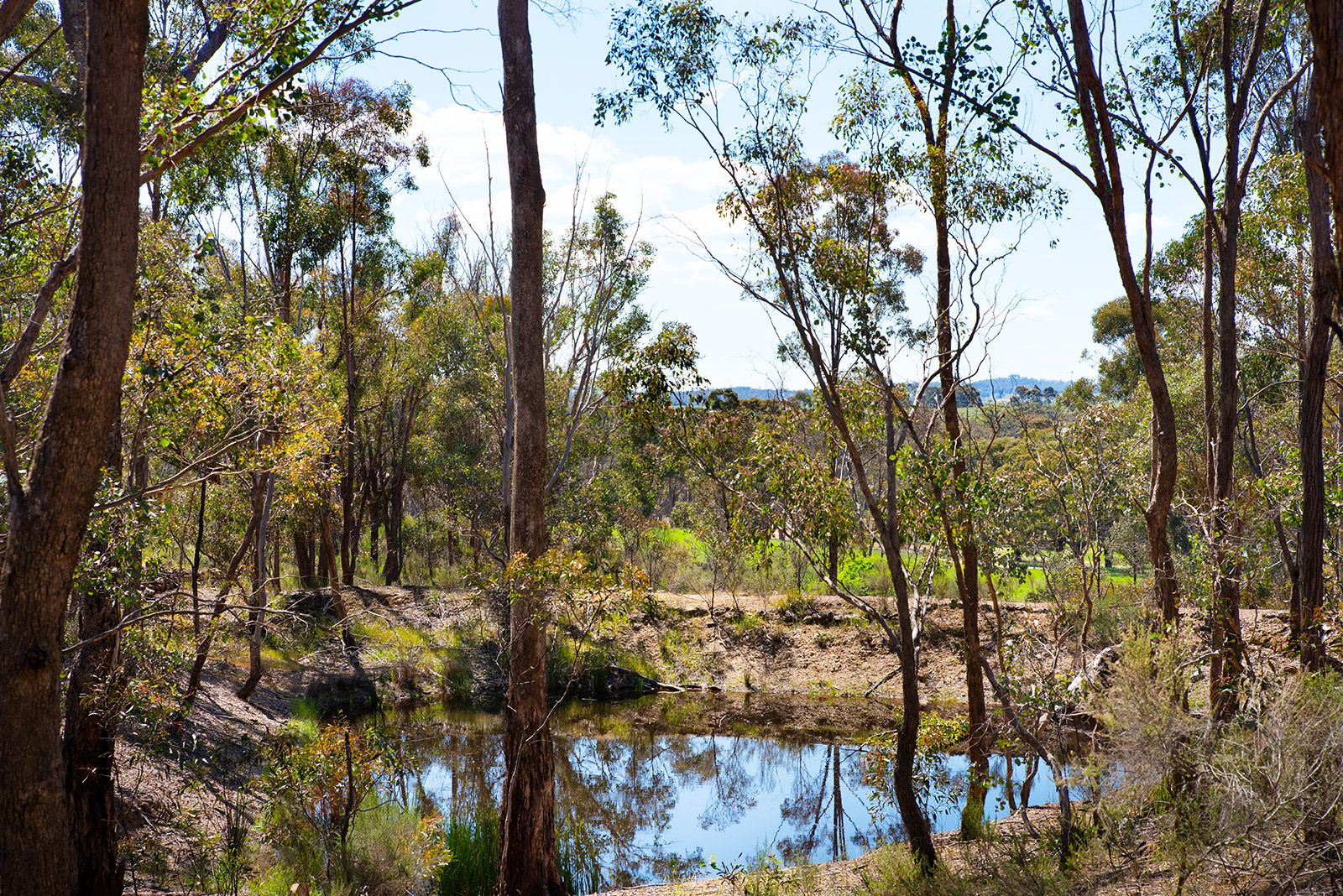 Lot 3 Ca 4a Galaxia Lane, Guildford VIC 3451, Image 2