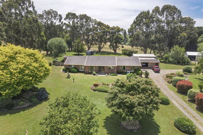 Picture of 1150 Timboon-Nullawarre Road, BRUCKNELL VIC 3268