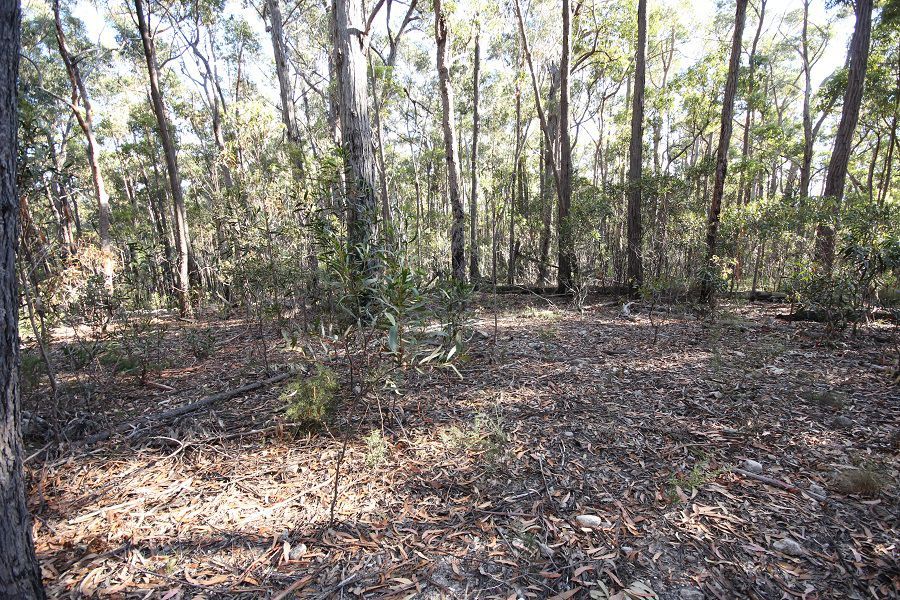 Lot 964 Mt Darragh Road, Lochiel NSW 2549, Image 1