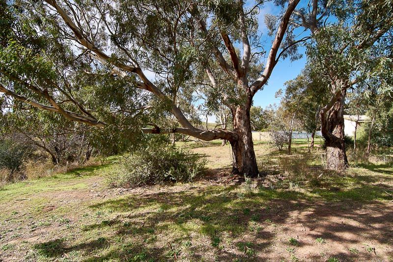 Lot 123 Johnston Road, Willyaroo SA 5255, Image 2