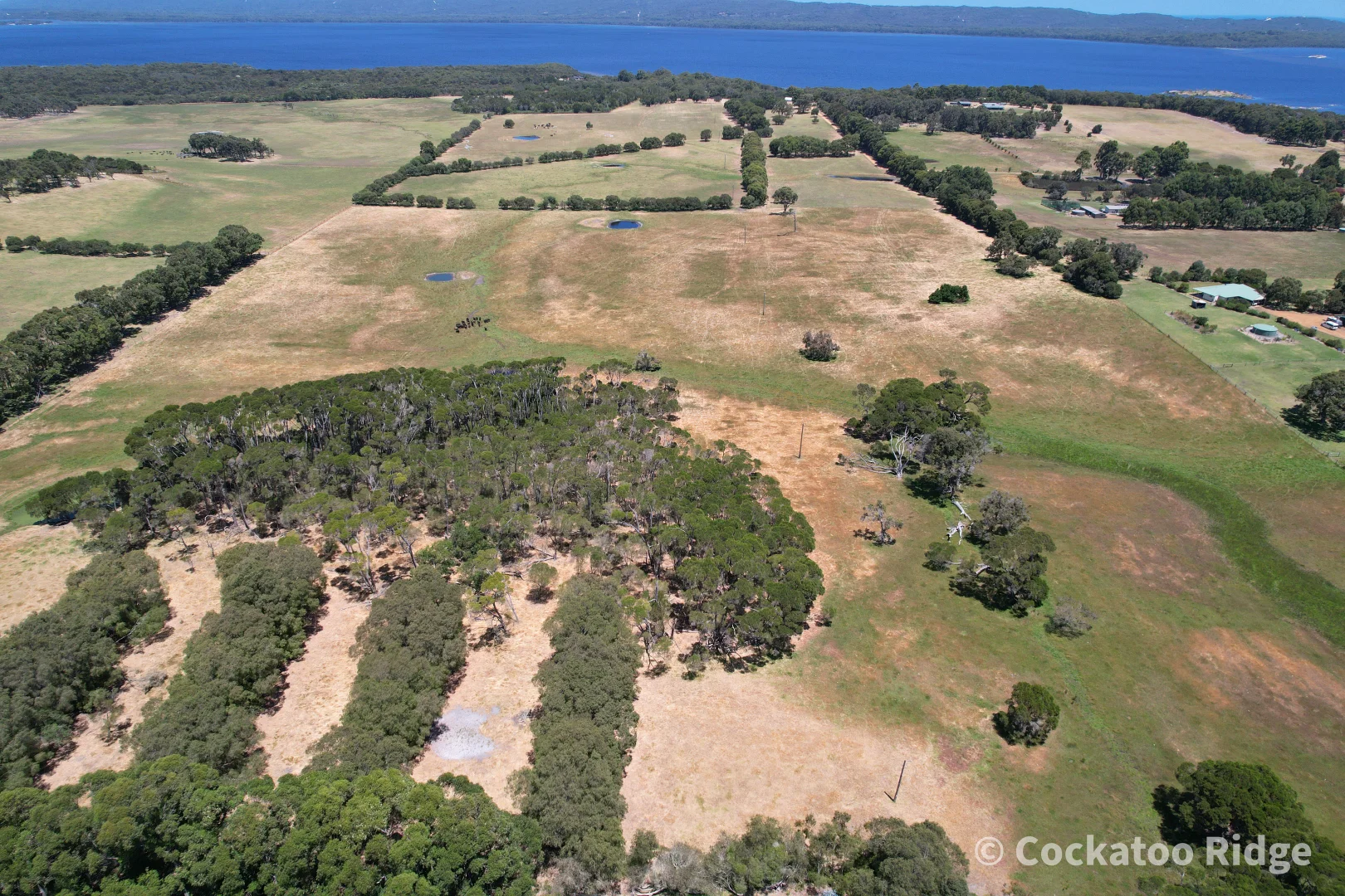 Additional image 52 of 96 Rudgyard Place, Hay WA 6333