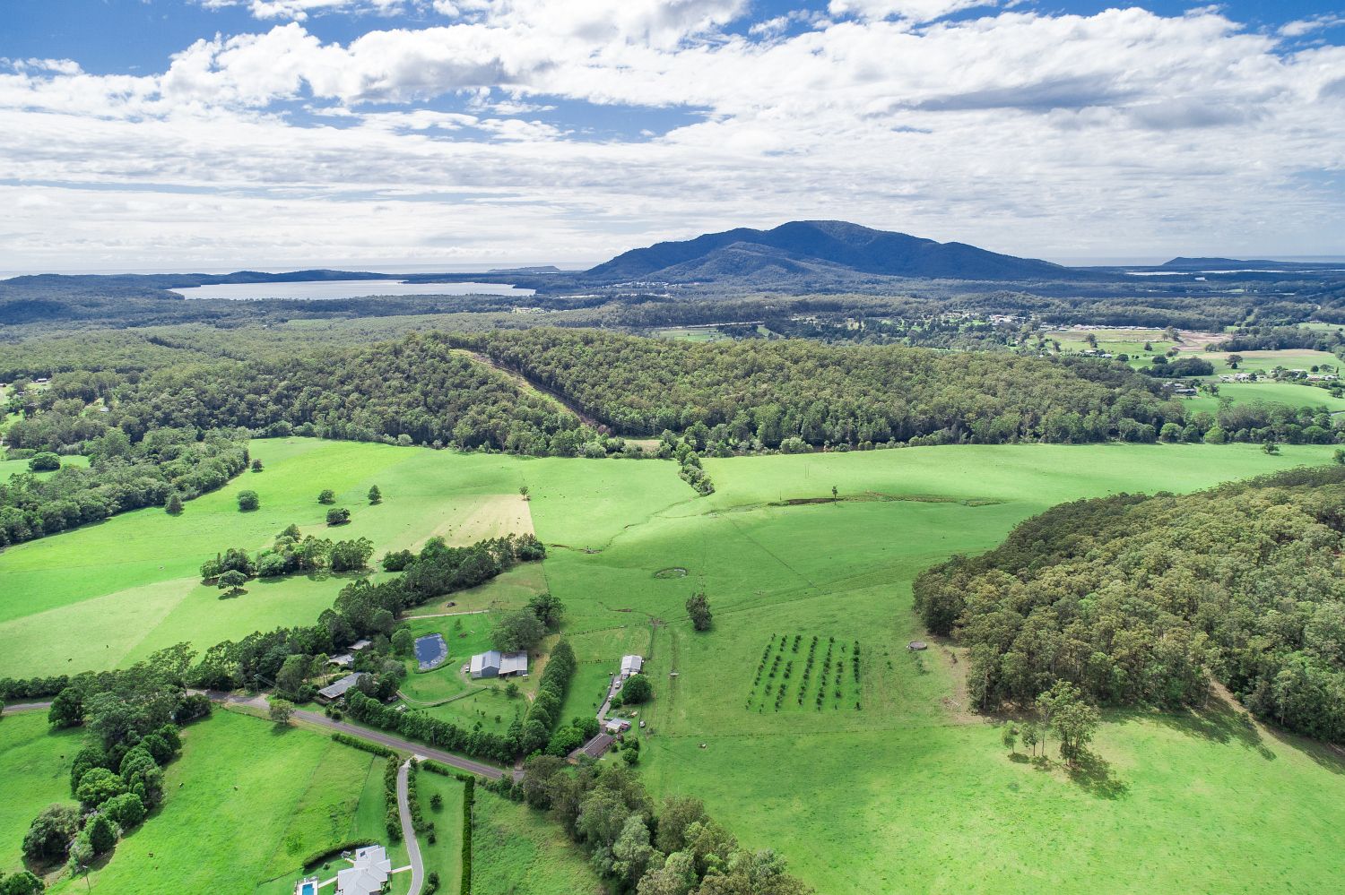 146 Logans Crossing Road, Kendall NSW 2439 House for Sale 1,500,000