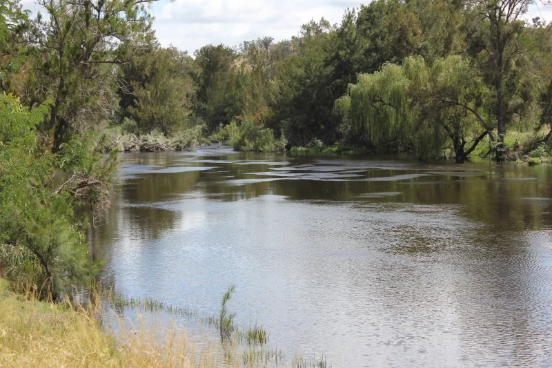 Additional image 5 of 'Fernlee' 557 Pindari Dam Rd, Ashford NSW 2361