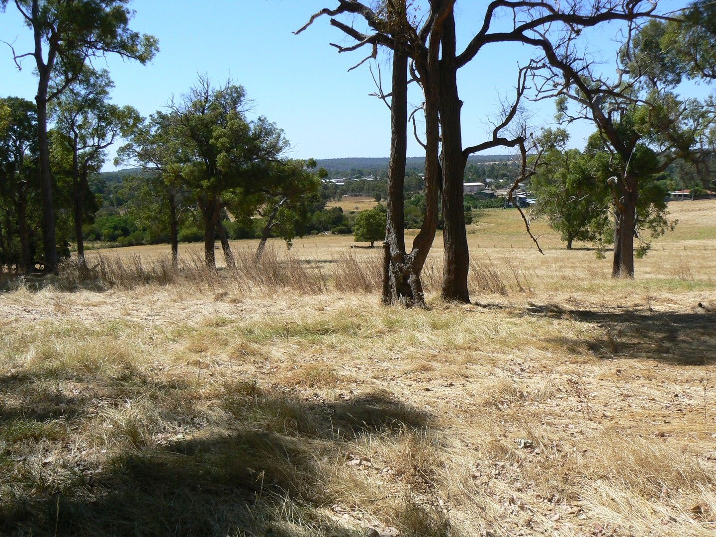 57 Thomson Street, Donnybrook WA 6239 Vacant Land for Sale Domain