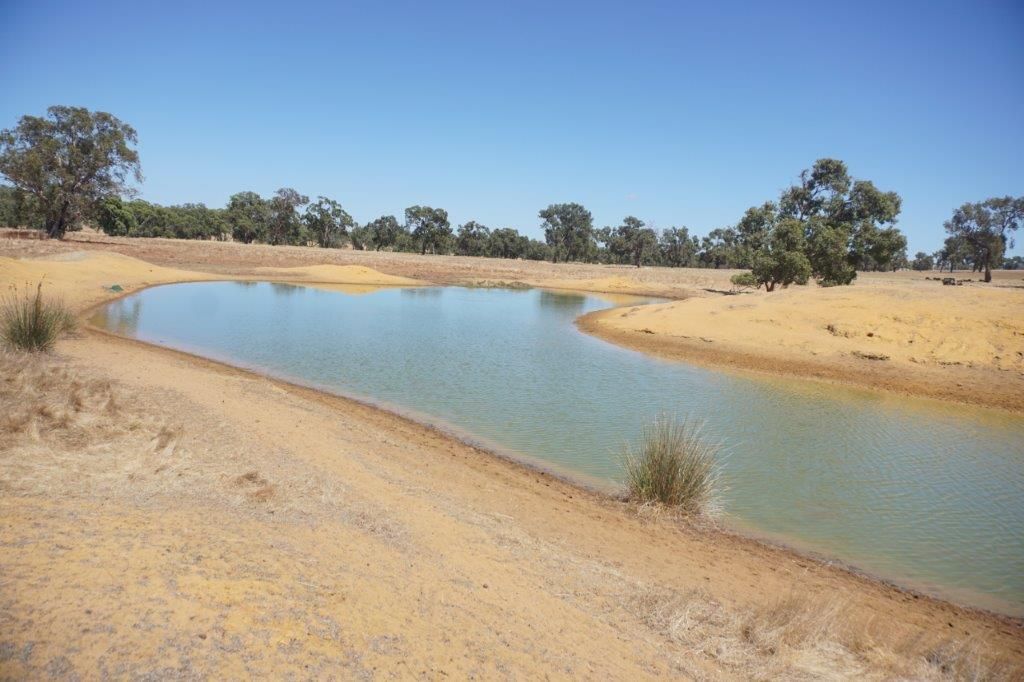 Lot 2 Walyer Walyer Road, Dandaragan WA 6507, Image 2